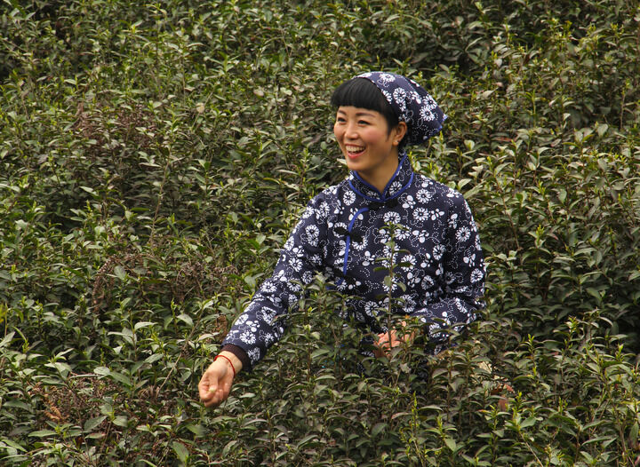 百丽推荐5